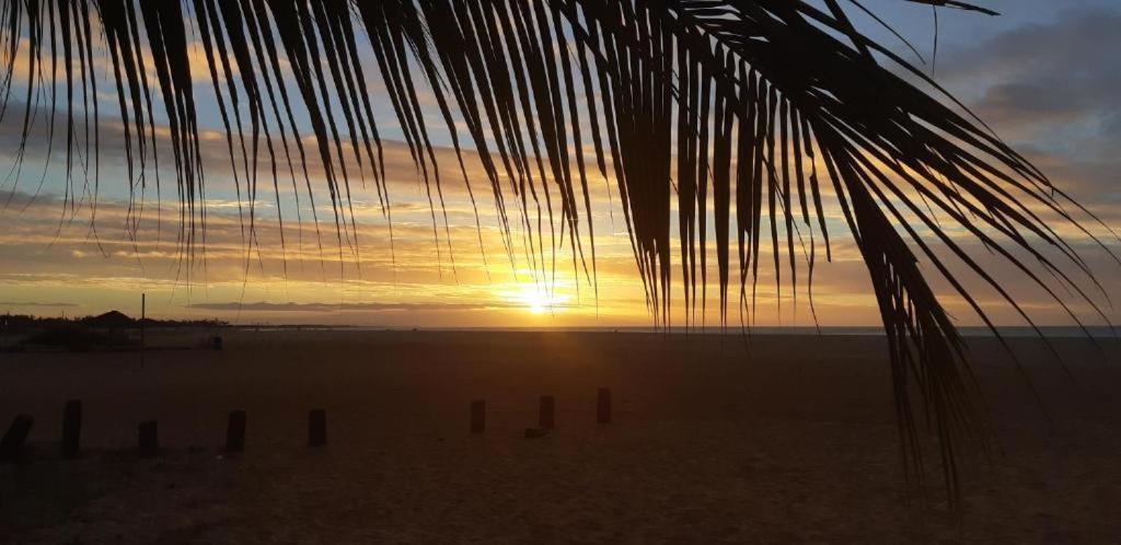Moringa Beach Sao Miguel do Gostoso Ngoại thất bức ảnh